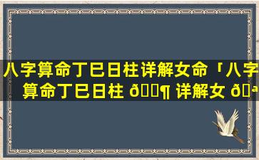 八字算命丁巳日柱详解女命「八字算命丁巳日柱 🐶 详解女 🪴 命婚姻」